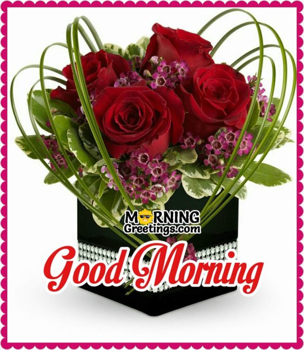Adorable Good Morning