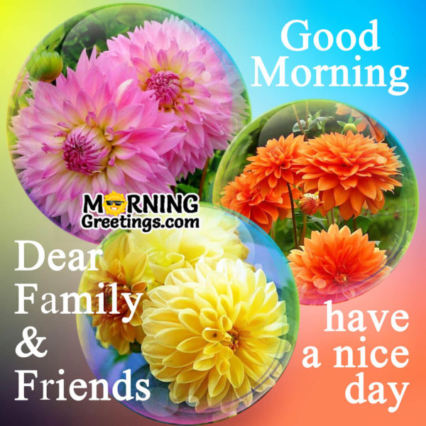 Dear Family And Friends Have A Nice Day