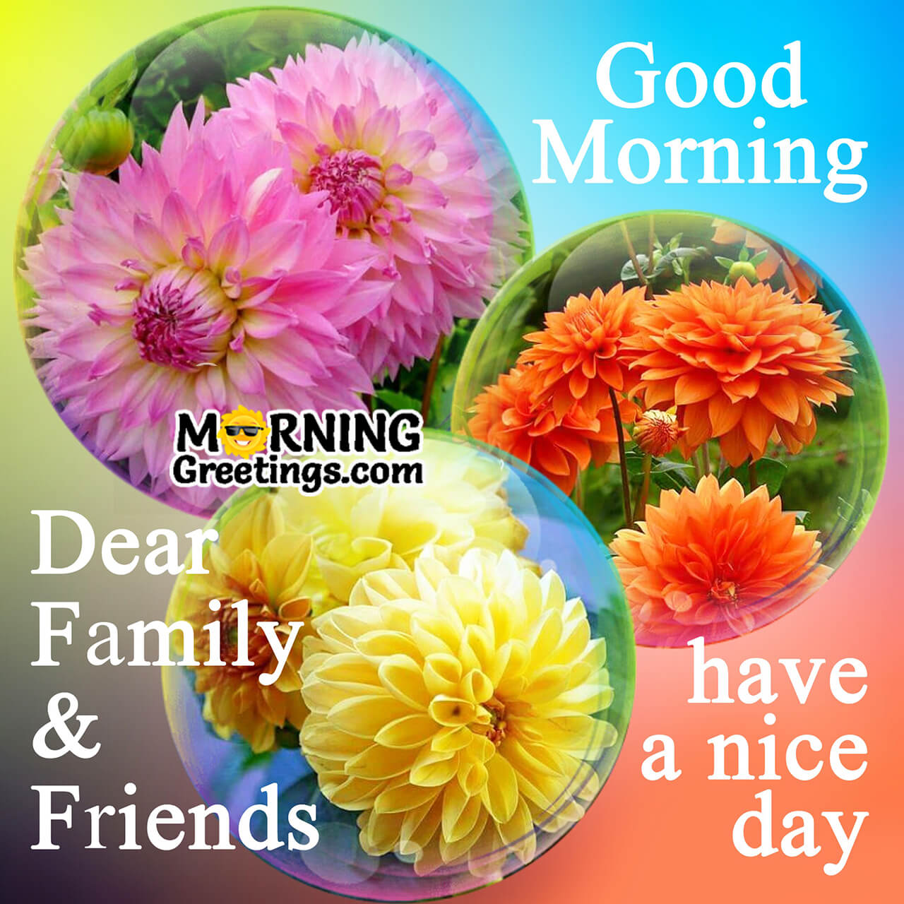 65 Good Morning Images With Flowers - Morning Greetings – Morning ...