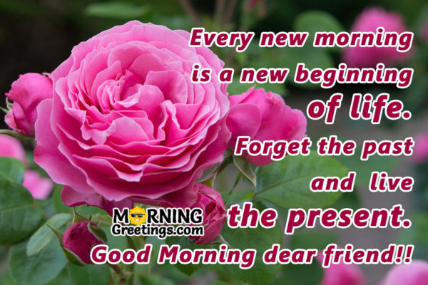 Every New Morning Is The New Beginning Of Life