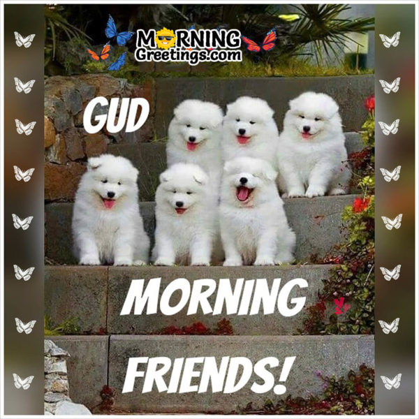 Good Morning Friends With Cute Puppies