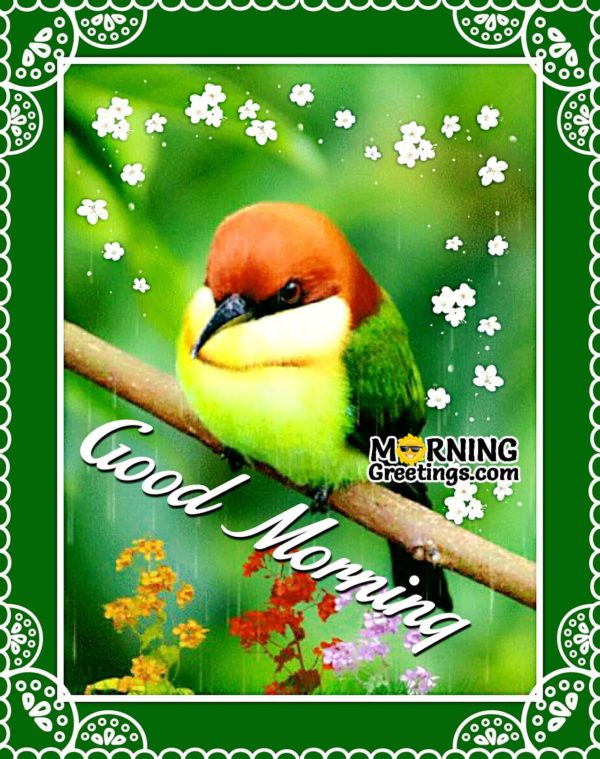 Good Morning
