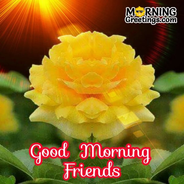 Good Morning Friends With Yellow Flower