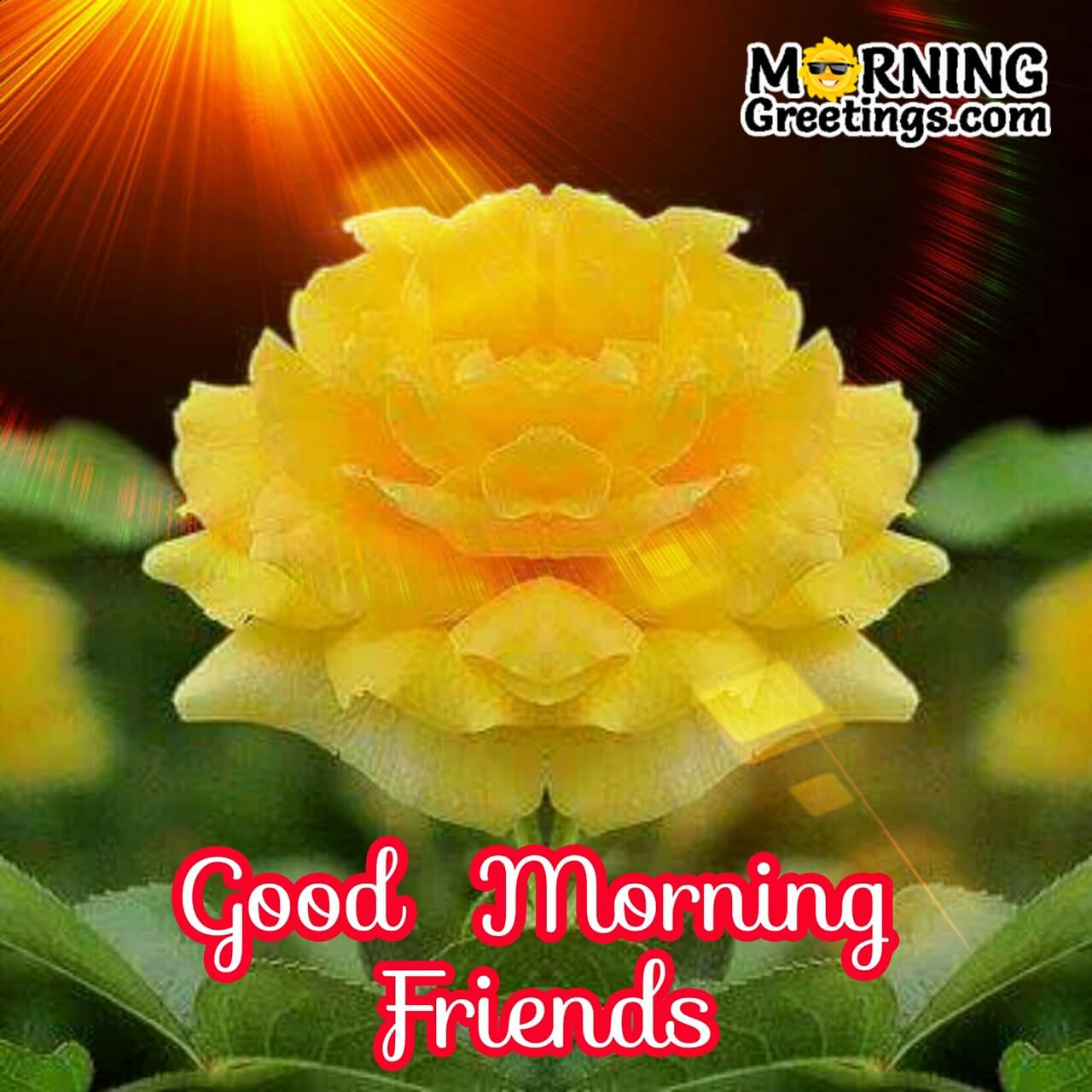 10 Great Good Morning Wishes For Friend - Morning Greetings ...