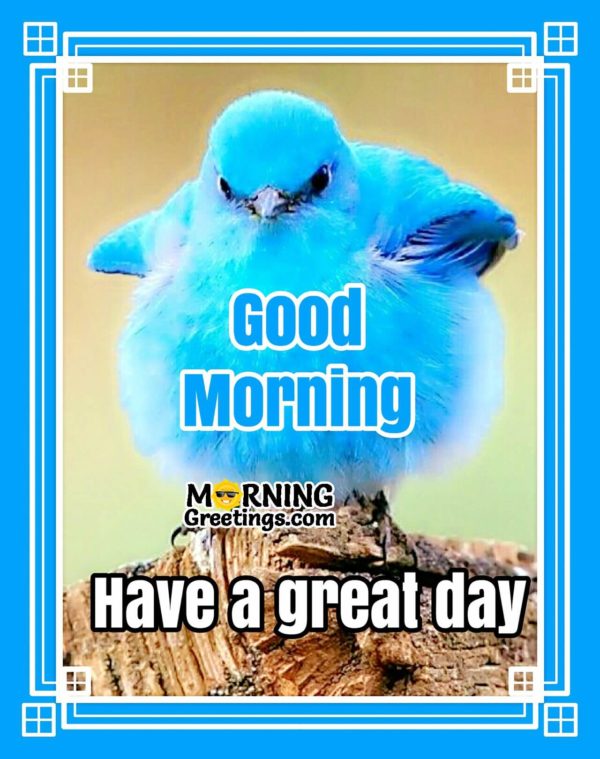 Good Morning Have A Great Day