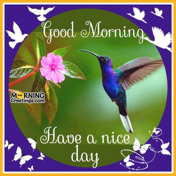 Good Morning Have A Nice Day