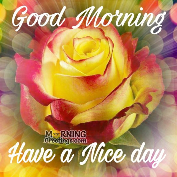 Good Morning Have A Nice Day