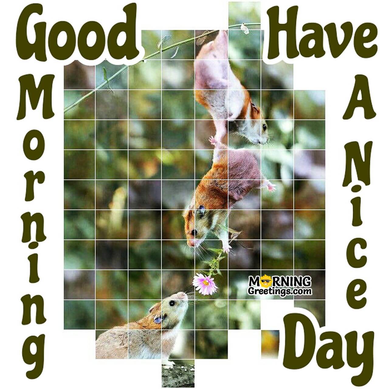 15 Wonderful Morning Wishes For Animal Lovers - Morning Greetings – Morning Quotes And Wishes Images 15 Wonderful Morning Wishes For Animal Lovers - Morning Greetings – Morning Quotes And Wishes Images