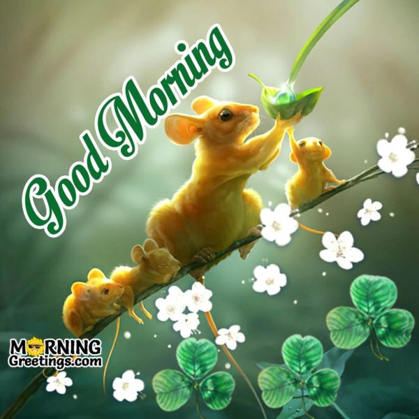 Good Morning Mouse And Mice Image