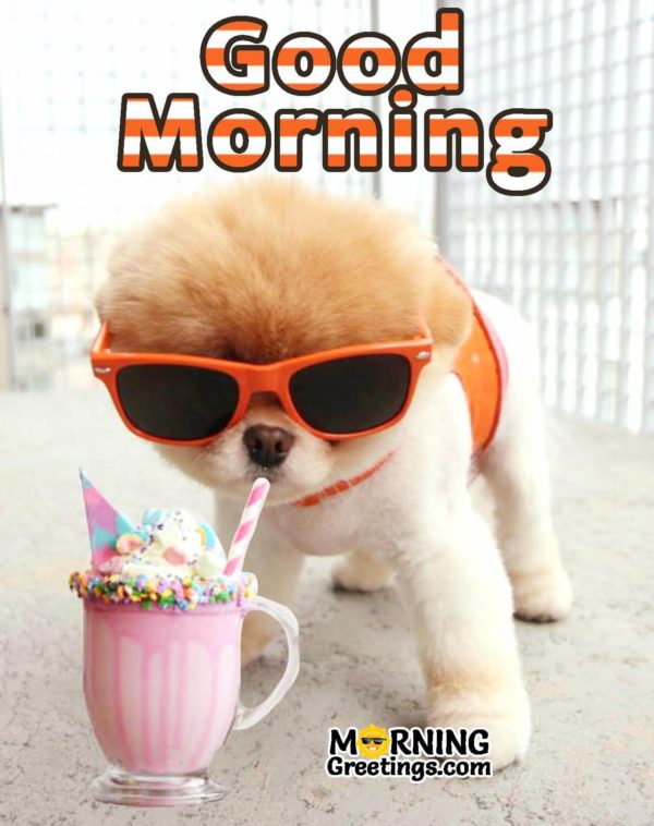 Good Morning Puppy Image