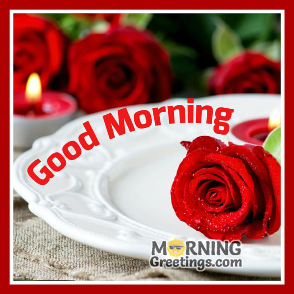 Good Morning With Awesome Red Rose