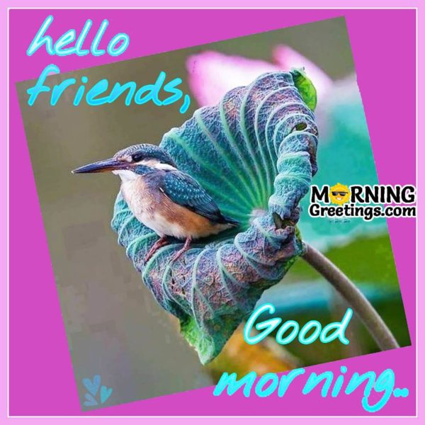 Good Morning With Beautiful Bird