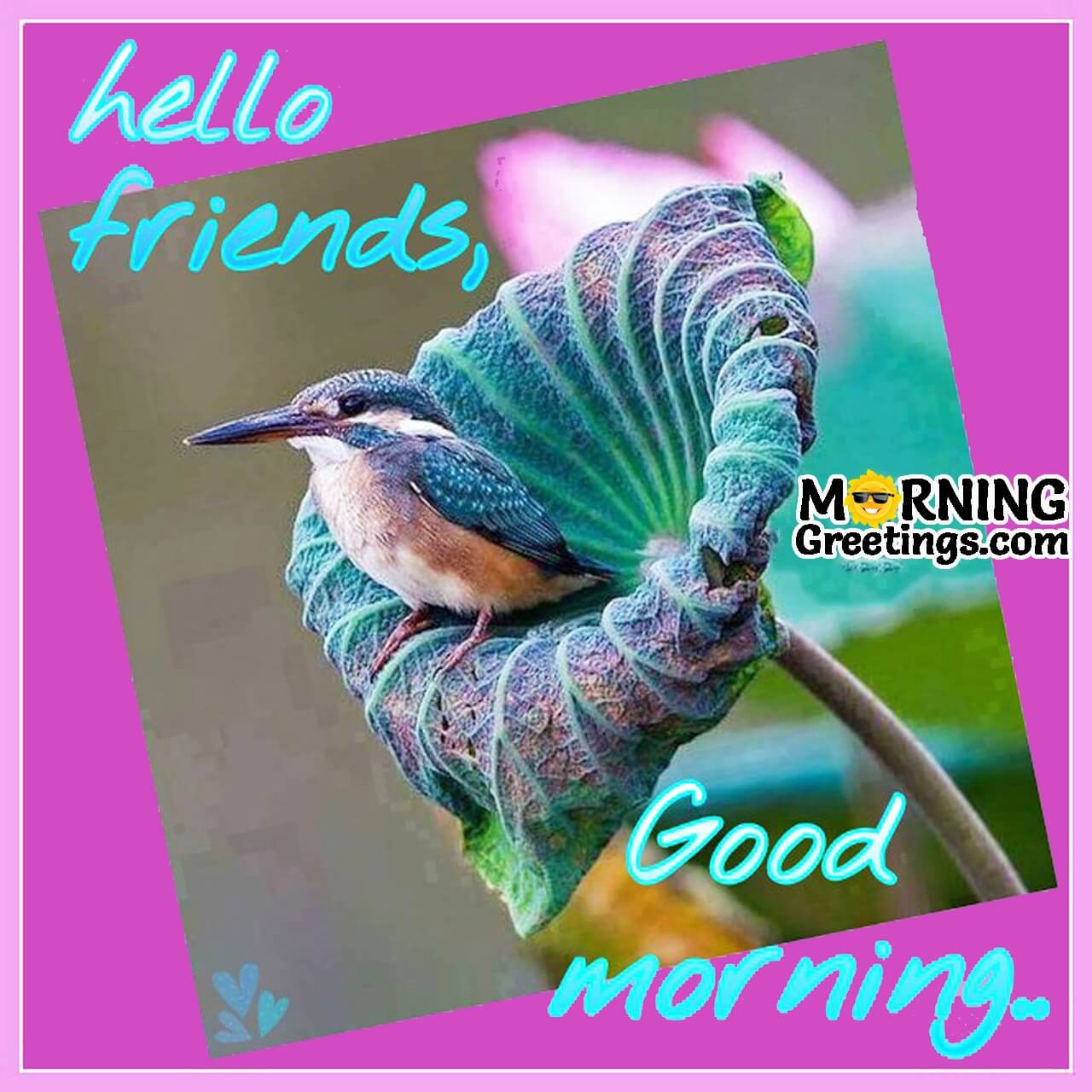 10 Fantastic Hello Morning Greetings For Friends - Morning ...