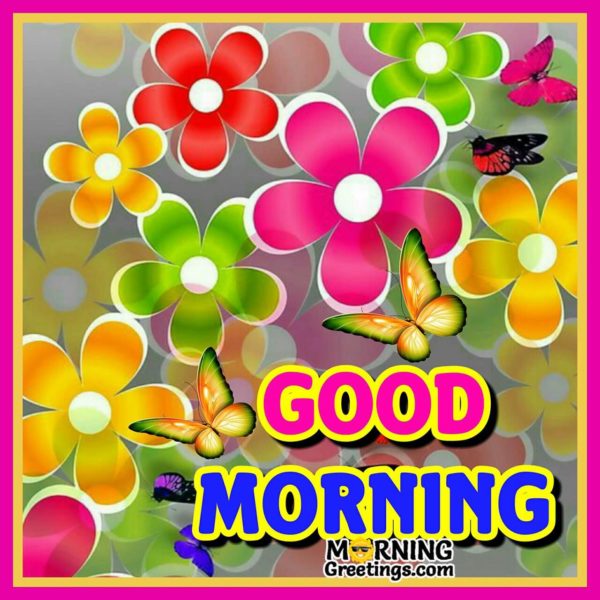 Good Morning With Colourful Flowers And Butterflies
