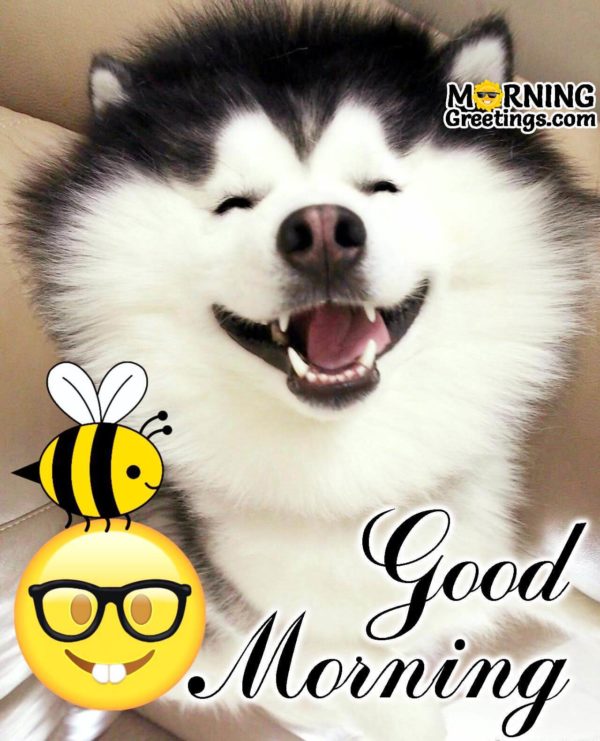 Good Morning With Cute Dog