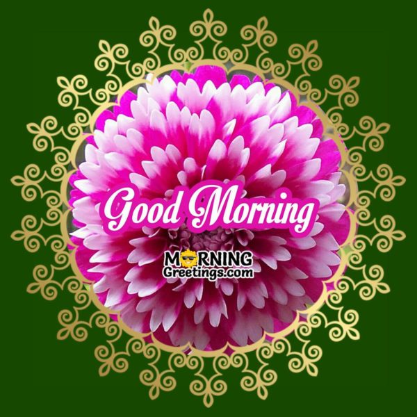 Good Morning With Pink Flowers