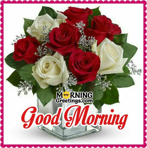Good Morning With Red And White Roses