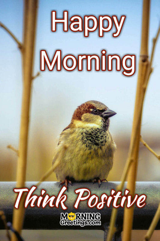 Happy Morning Think Positive