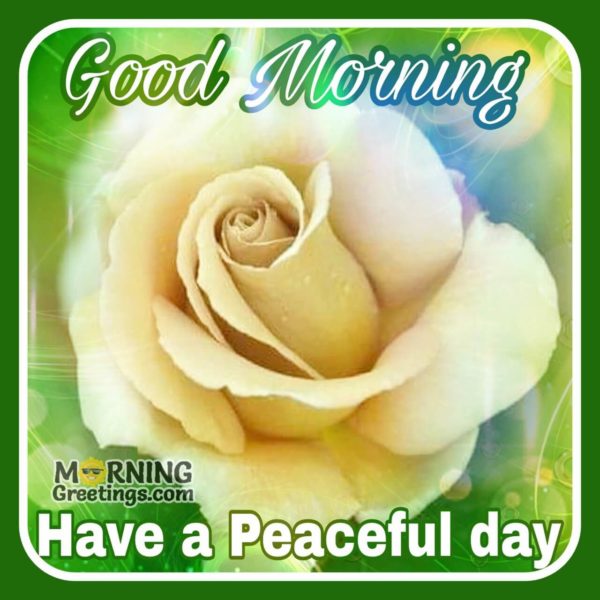 Have A Peaceful Day