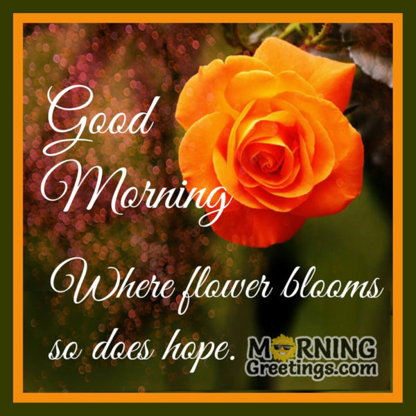 Where Flower Blooms So Does Hope
