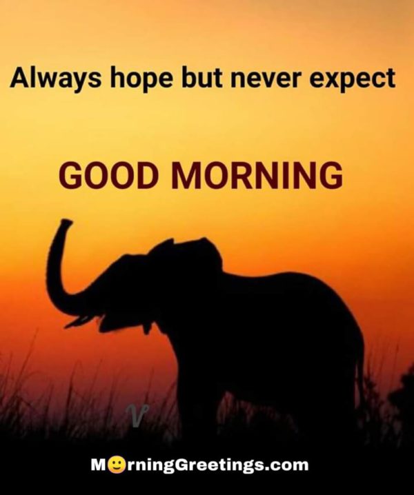 Always Hope But Never Expect