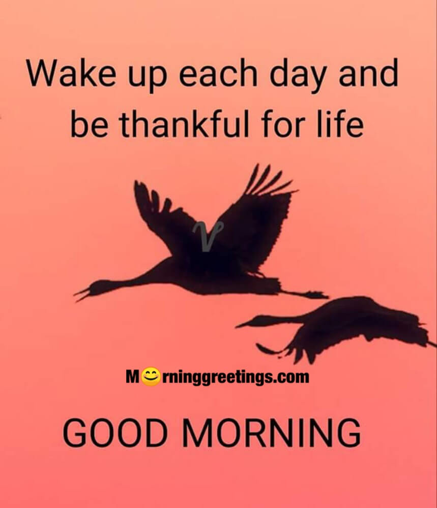 Be Thankful For Life