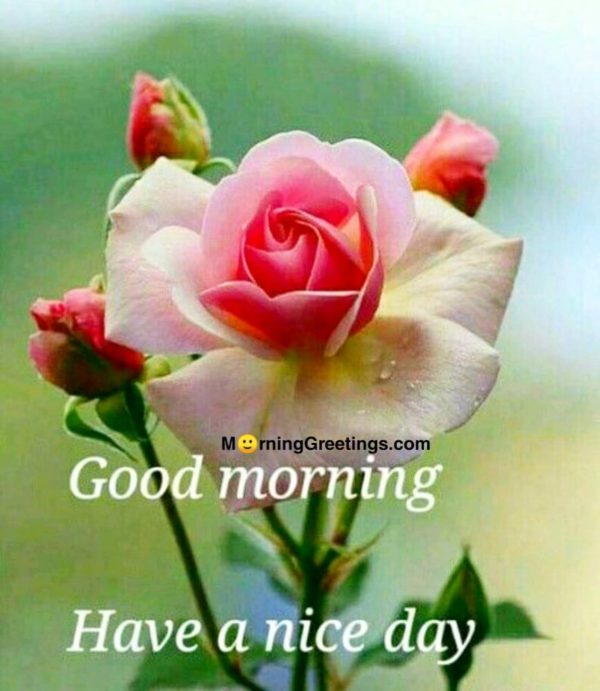 Beautiful Good Morning Image