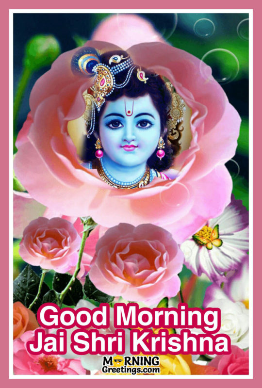 Beautiful Photo Of Bal Krishna