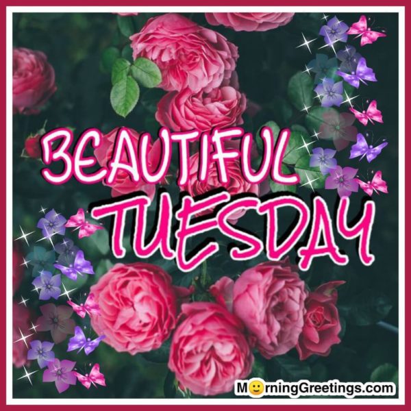 Beautiful Tuesday