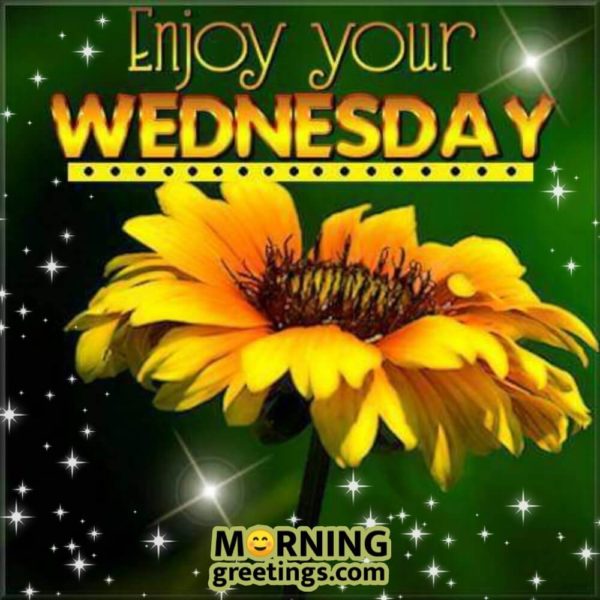Enjoy Your Wednesday