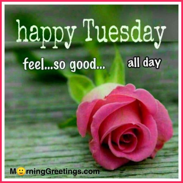 Feel So Good All Day