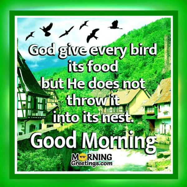 God Give Every Bird Its Food