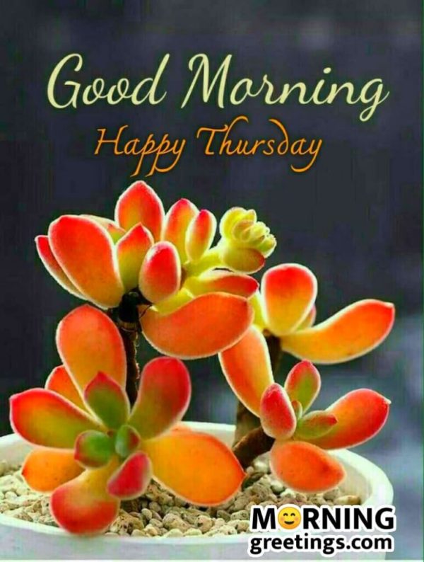Good Morning Happy Thursday