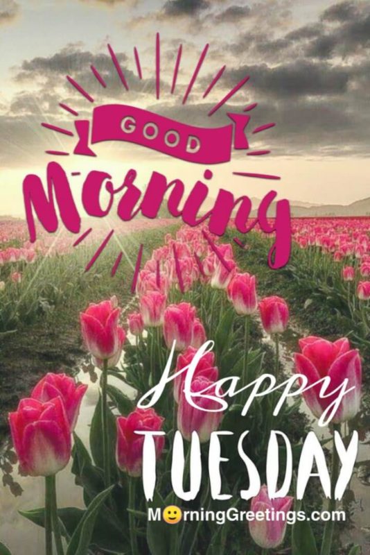 Good Morning Happy Tuesday