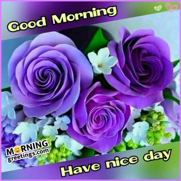 Good Morning Have A Nice Day