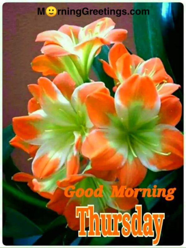 Good Morning Thursday