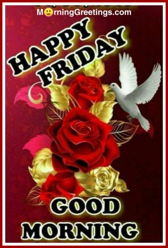 Happy Friday Good Morning