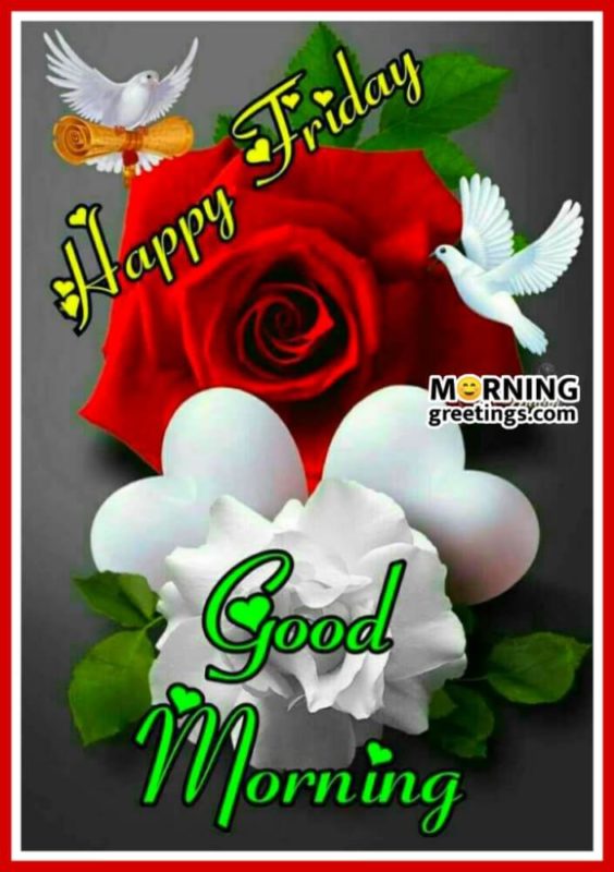 Happy Friday With Red Rose