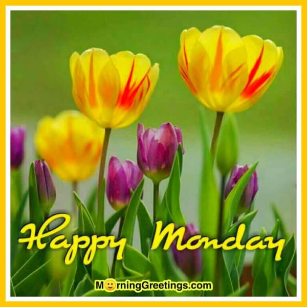 Happy Monday With Yellow Flowers