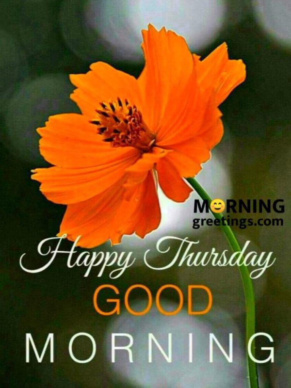 Happy Thursday Good Morning