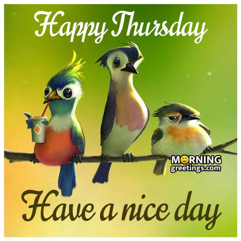 Happy Thursday Have A Nice Day