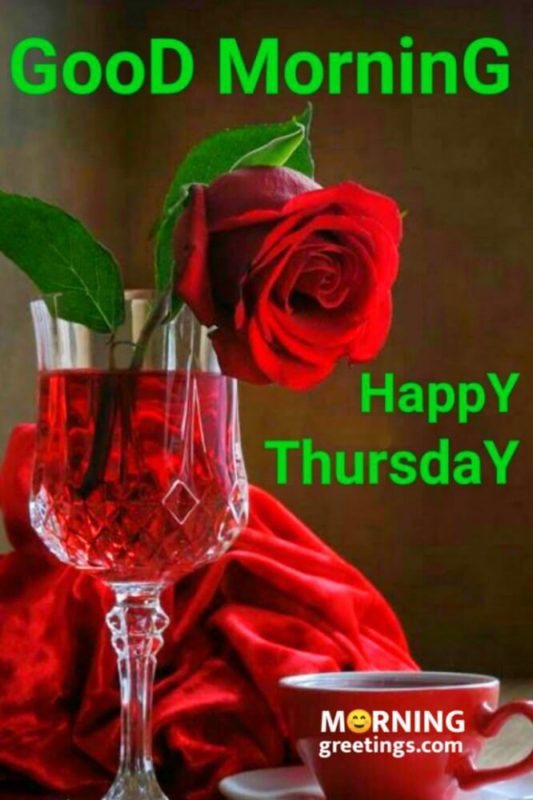 Happy Thursday With Red Roses