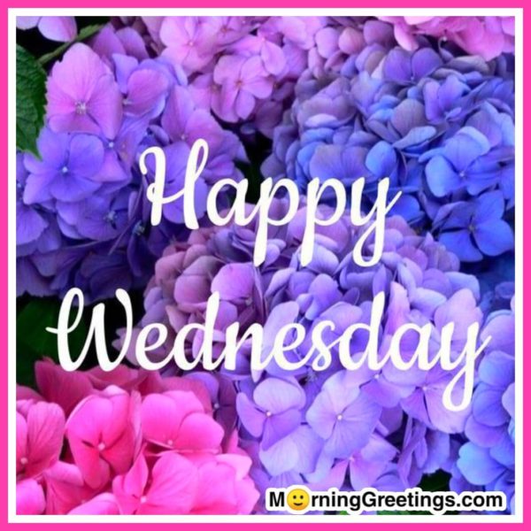 Happy Wednesday Image