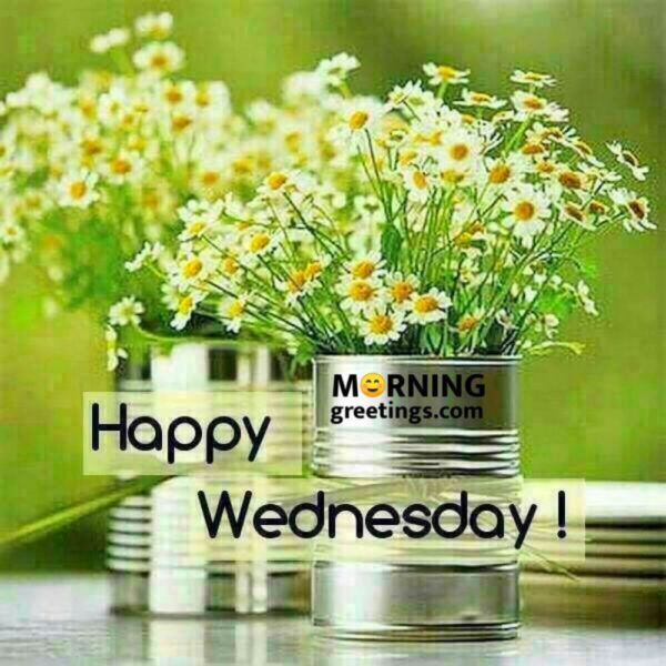 Happy Wednesday Pic
