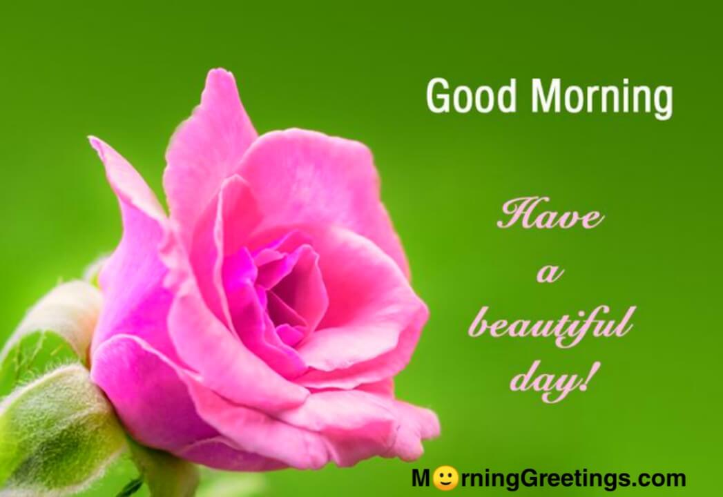 10 Good Day Greetings With Flowers Morning Greetings Morning Quotes And Wishes Images