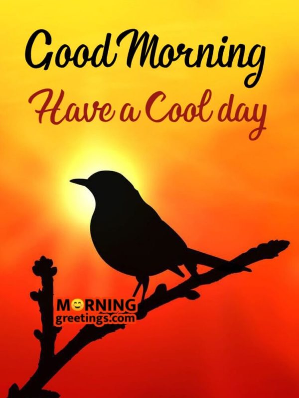Have A Cool Day