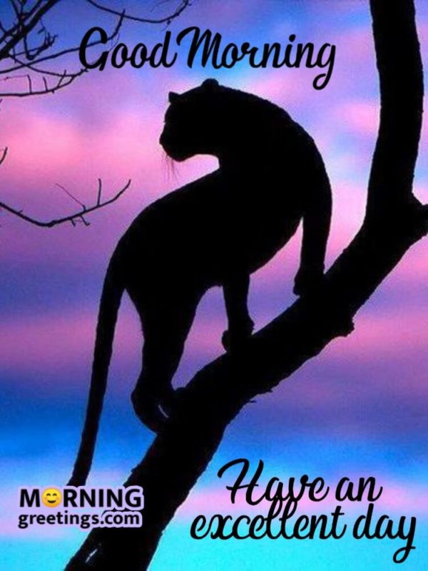 Have A Excellent Day