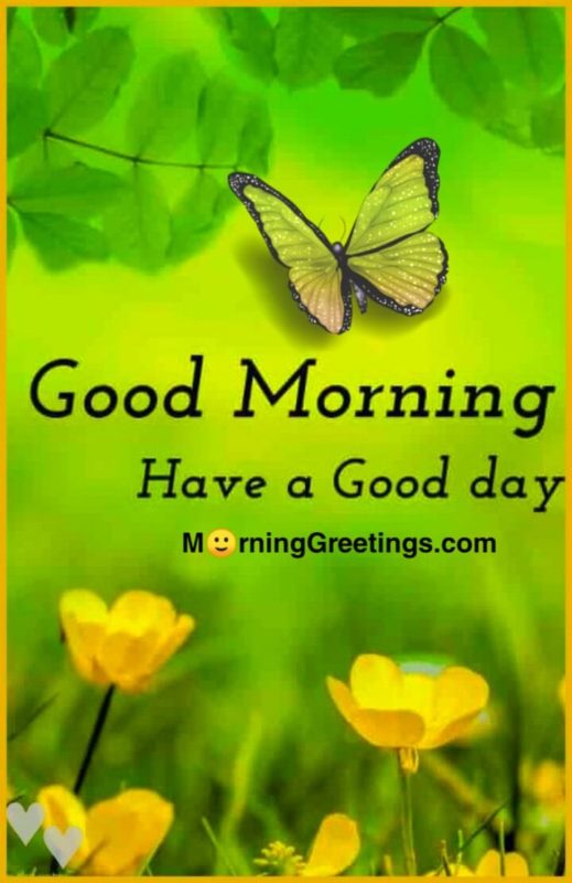 Have A Good Day