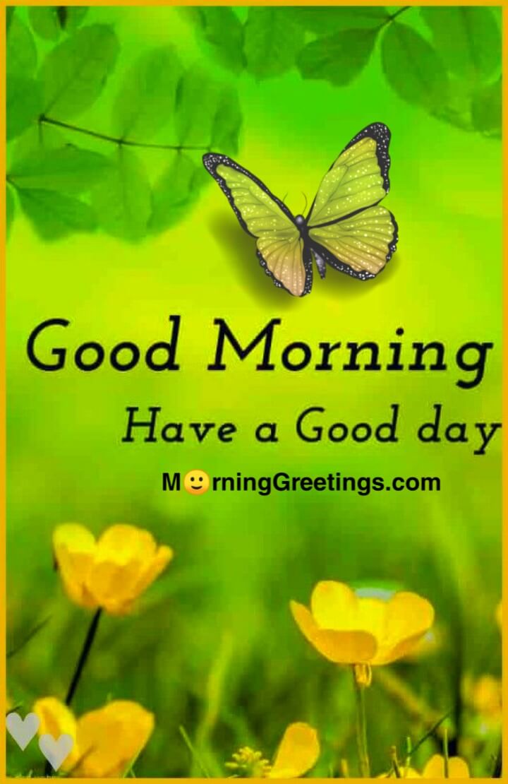 10 Good Day Greetings With Flowers - Morning Greetings – Morning ...