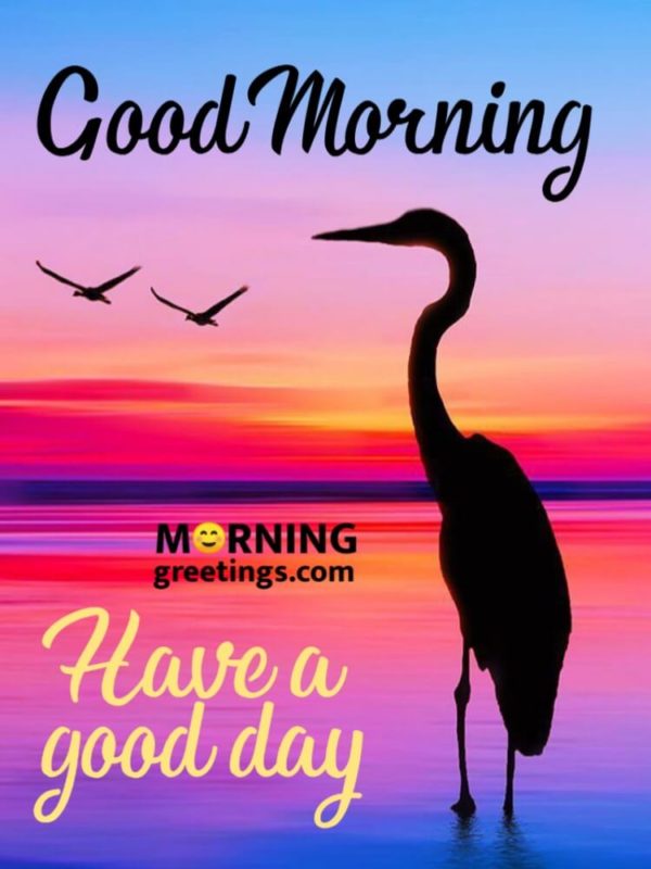 Have A Good Day